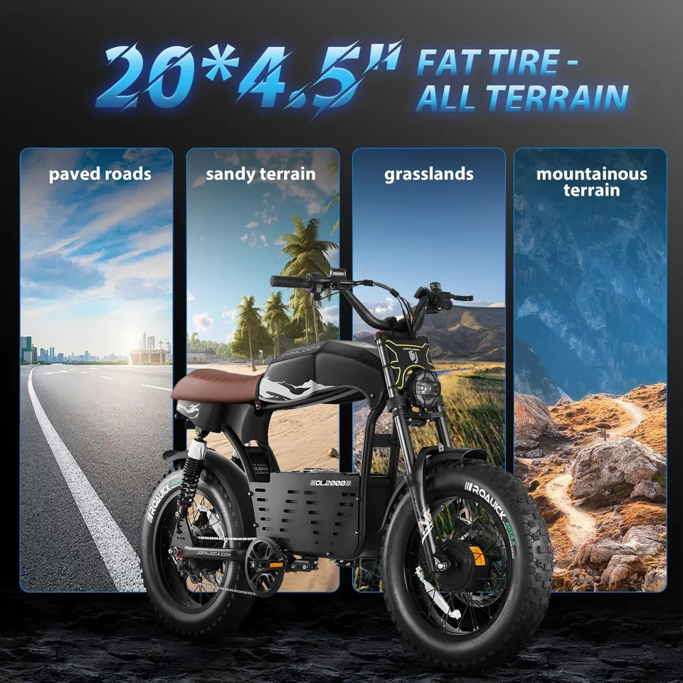 DL2000 4000W Dual Motor Electric Bike 52V 30AH 20'' 44MPH 90Miles image 6