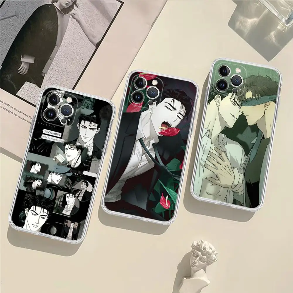 Under the green light Jin Cheongwoo Phone Case Silicone Soft for iphone 15 14 13 12 11 Pro Mini XS MAX 8 7 6 Plus X XS XR Cover