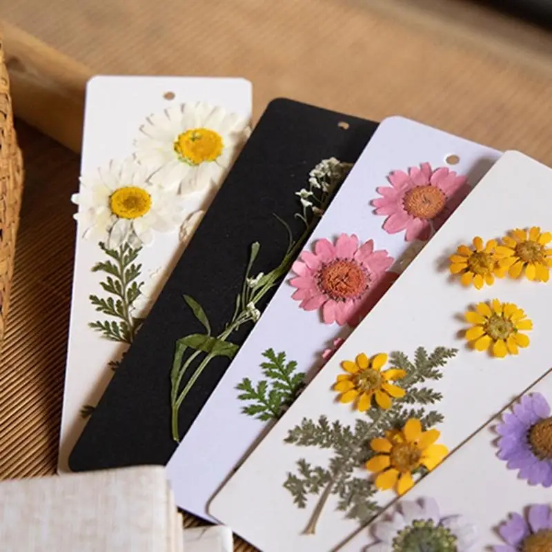 CORA 60 Pcs Rectangular Paper Bookmarks with Hole Aesthetic Bookmarks Blank Bookmarks Set Book Accessories