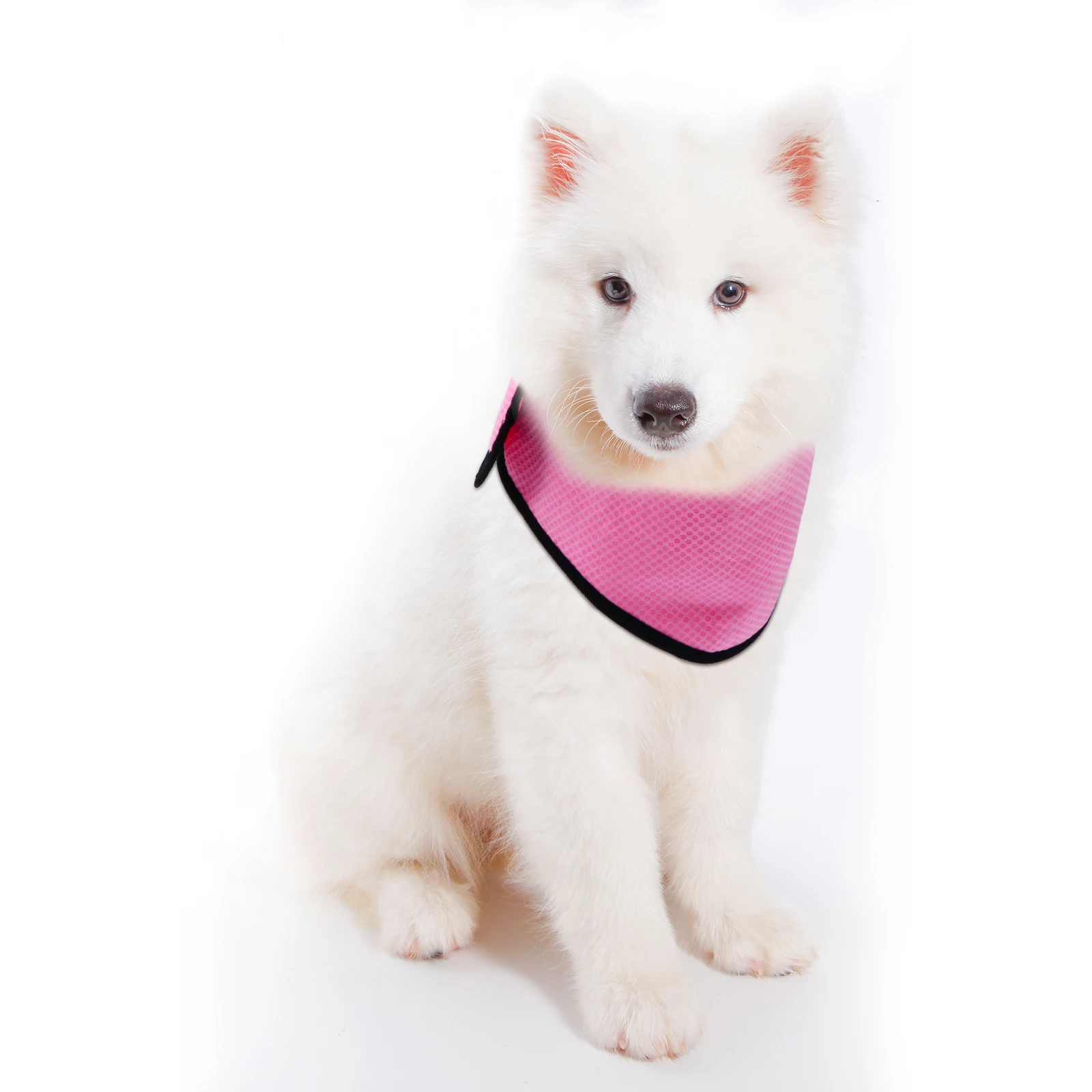 

Pet Cooling Scarf Breathable Towel for Dogs Cats Summer Ice Neck Wrap Cooling Collar Dog Accessories Pet Supplies Waterproof