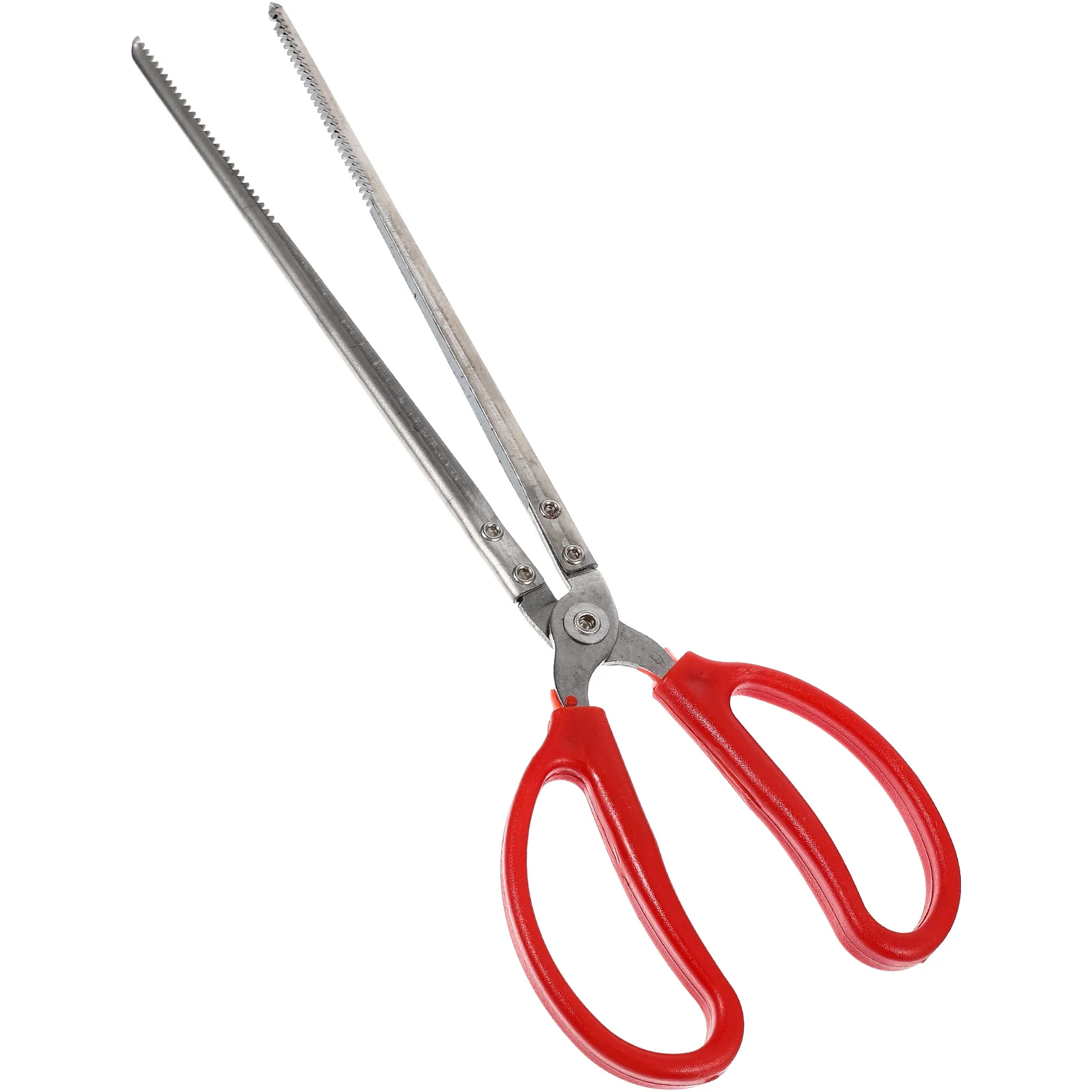 

Portable Seafood Tools Stainless Steel Tong Crab Tongs Fish Grip Wear Resistant Sturdy Lightweight Practical Design Mud Fish
