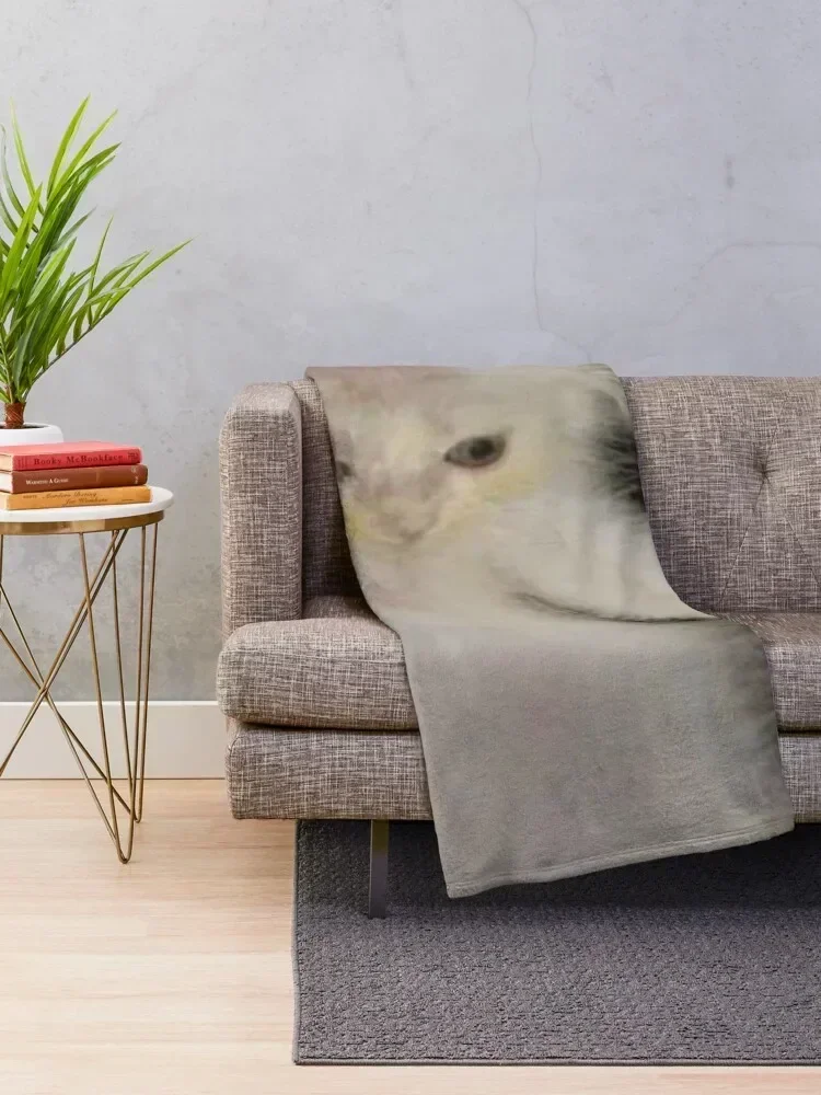 bald cat meme Throw Blanket Ultra Plush Cozy Blanket for Napping Sleeping