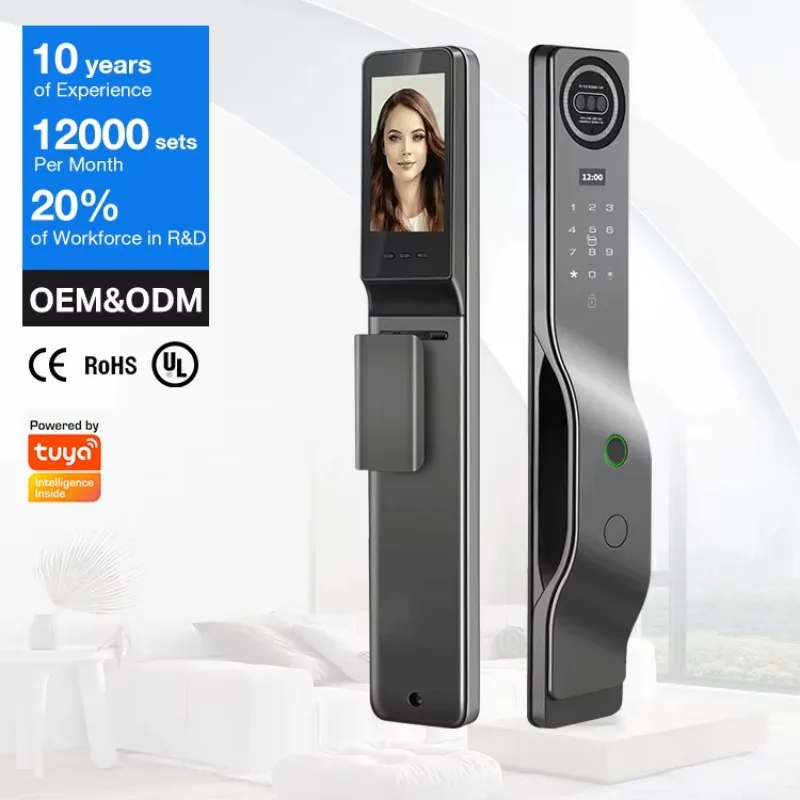 Custom Smart Home Digital Security Safety Electric Lock Wifi With 3D Face Recognition for Main Entrance Door