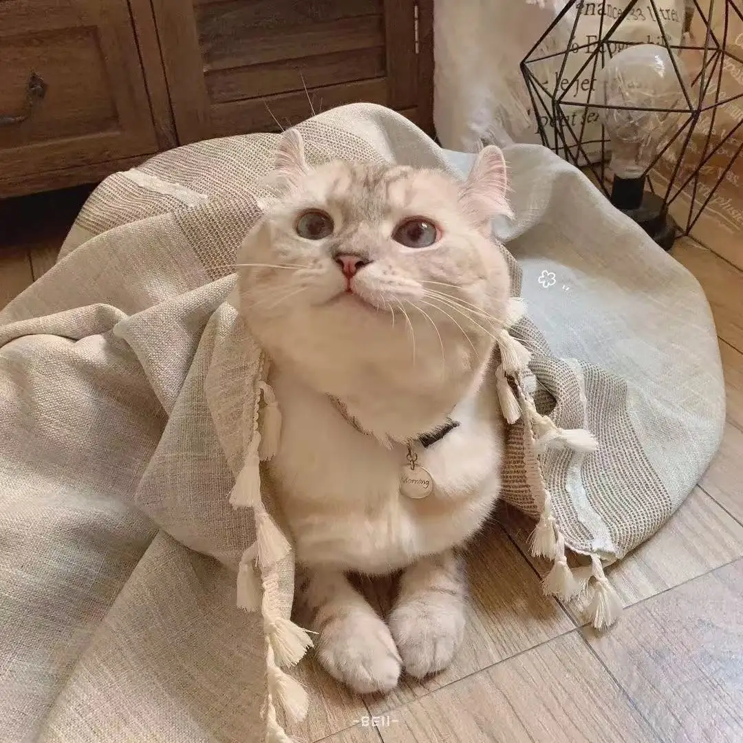 SUYIJIA 2.7V/16V LTO 6S Balance Board Equalization Circuit Lithium Titanate Battery/Super Farad Capacitor Protection Board