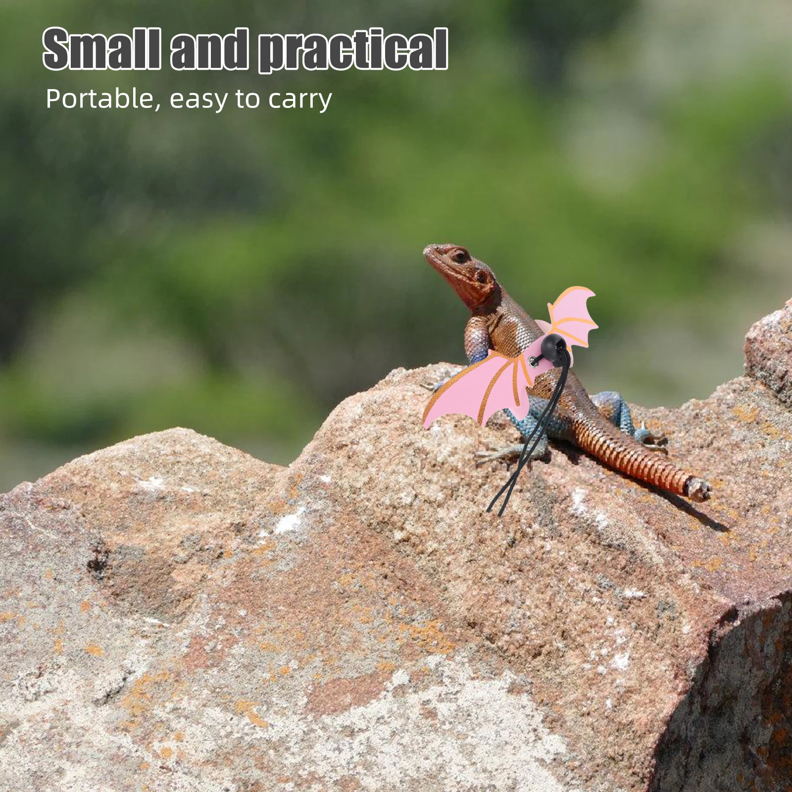 

Pet Leash Harness for Bearded Dragon Leashes Crawl Adjustable Reptile Lizard Pu