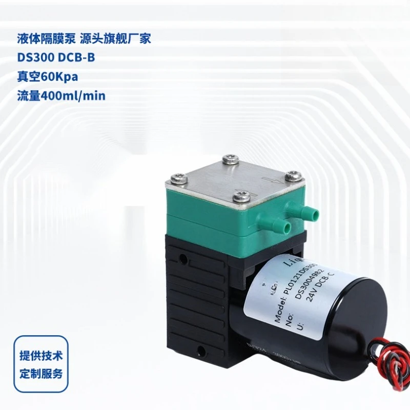 Liquid diaphragm pump DS300 DCB-B miniature diaphragm pump