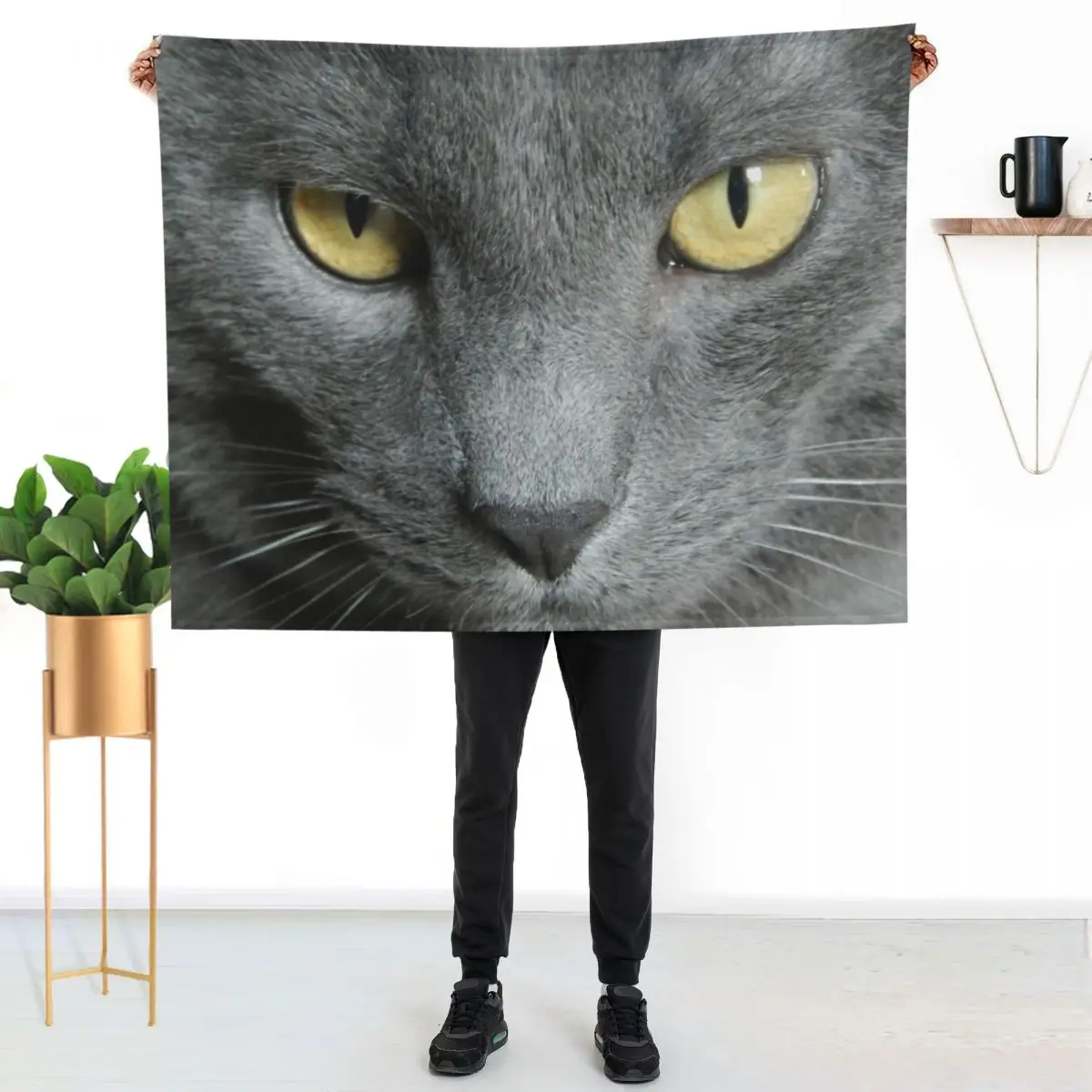 Russian Blue Cat Throw Blanket Travel funny gift Fashion Sofas manga Stuffeds Weighted Blankets