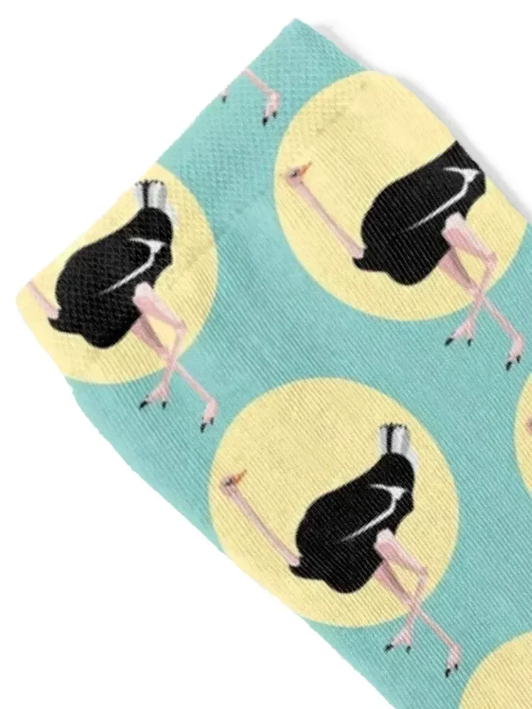 Ostrich Socks essential christmas stocking kids sheer Socks Men's Women's