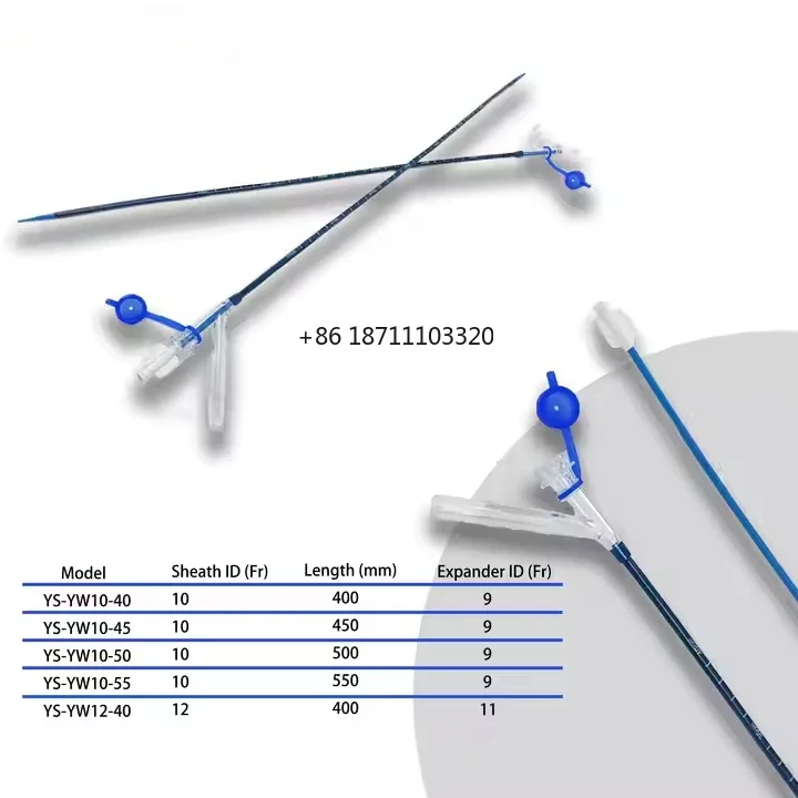 

Endoso Flexible Ureteral Dilation Ureteral Negative Pressure Access Sheath For Endoscopic Surgery