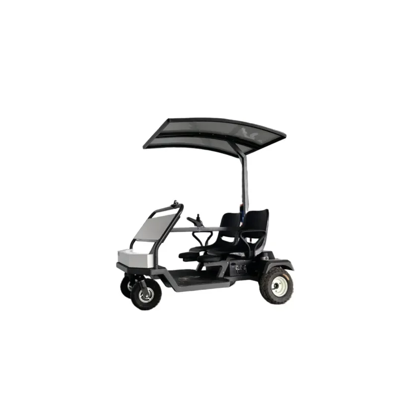2026  Solar Assisted Two Seater Mini Electric Golf Cart Cargo Automatic EV for Private Use Non Public Road