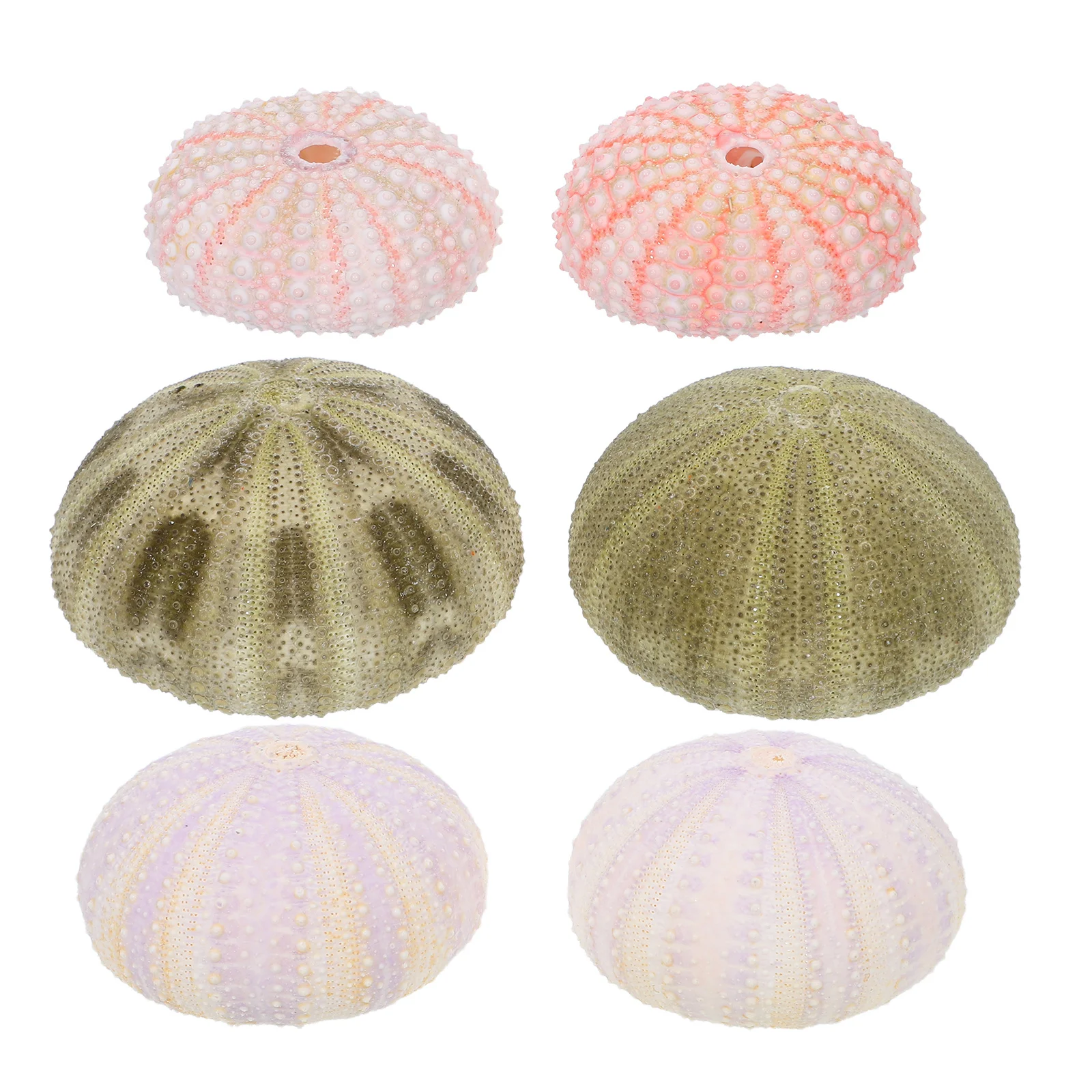 

6Pcs Sea Urchin Ornaments Aquarium Decorations Fish Tank Decors Natural Style Desktop Decors DIY Handmade Sea Urchin