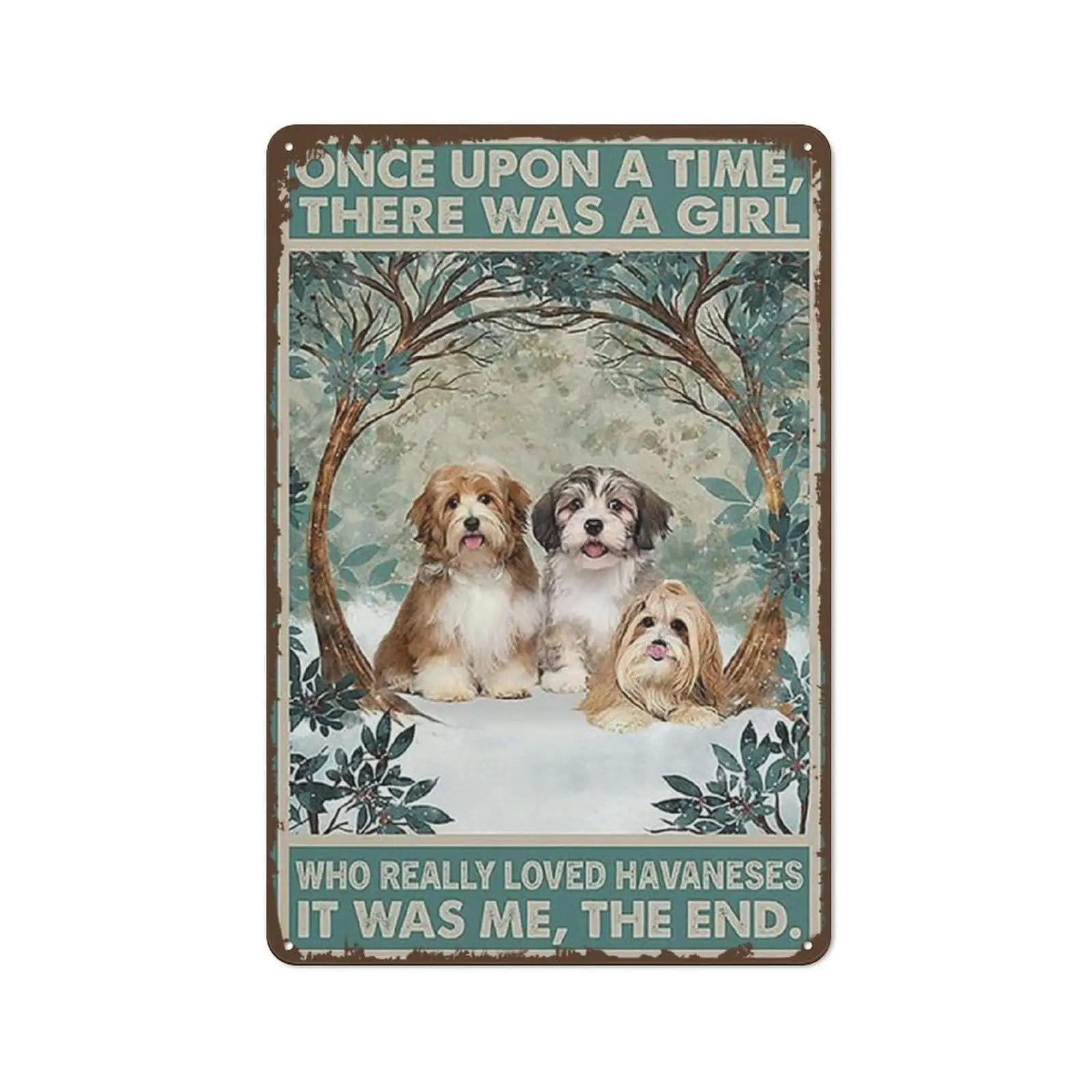 Once Upon A Time There was A Girl Who Loved Havaneses Vintage Metal Sign Retro Tin Sign Art Home Decoration for Living Room Shop