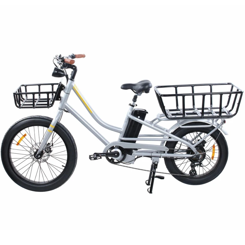 Adult Electric Cargo bike used for family with 250W*36V 2 wheel bike transport with damper cycle/kids bike bicycle 24