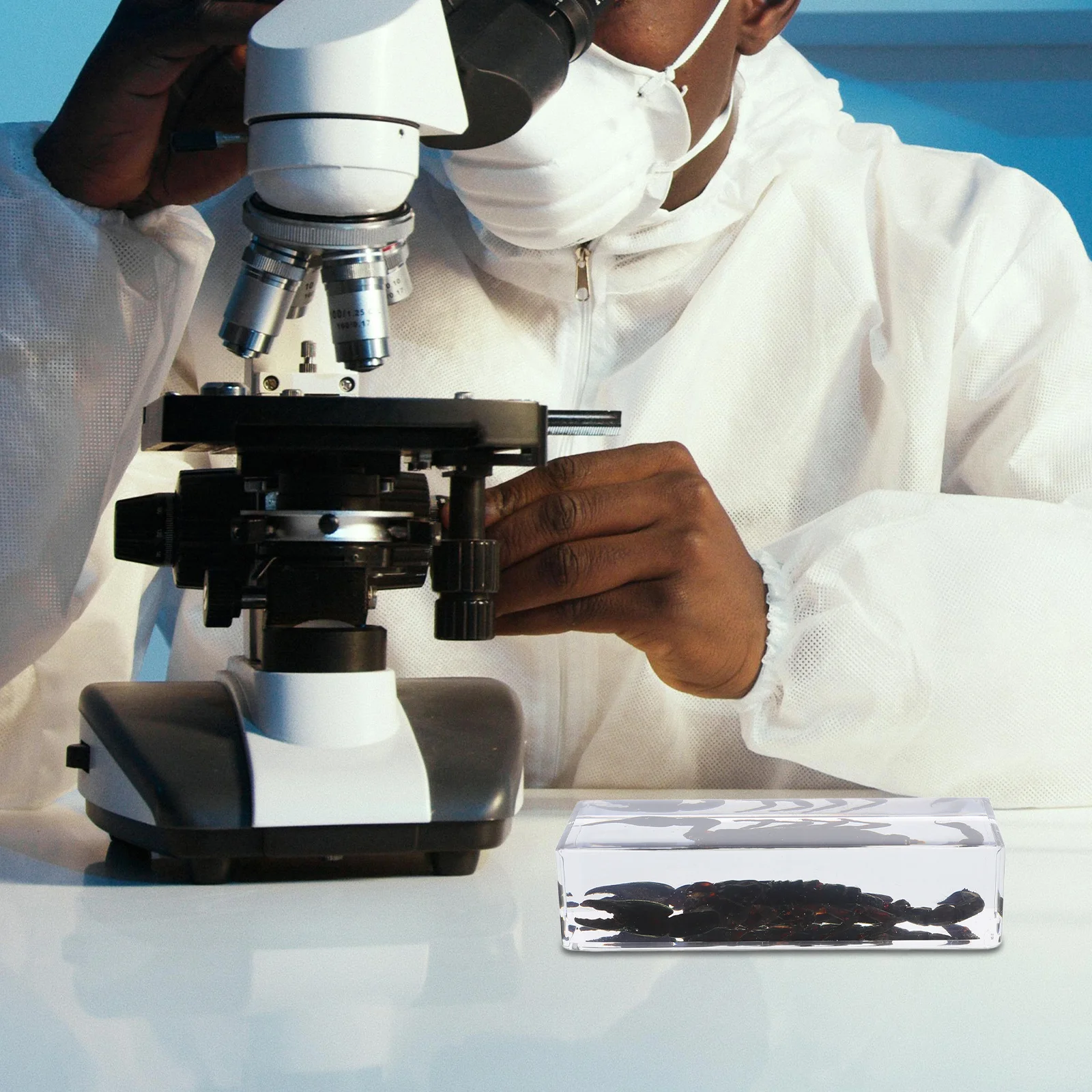 

Unique Insect Specimens Resin Scorpion Paperweight Transparent Acrylic Decorative Educational Science Collection Home Office Use