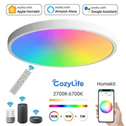 Homkit CozyLife WiFi lampa sufitowa nowoczesna Nordic okrągłe światło inteligentne oświetlenie wnętrza działa z Alexa Google SmartThings