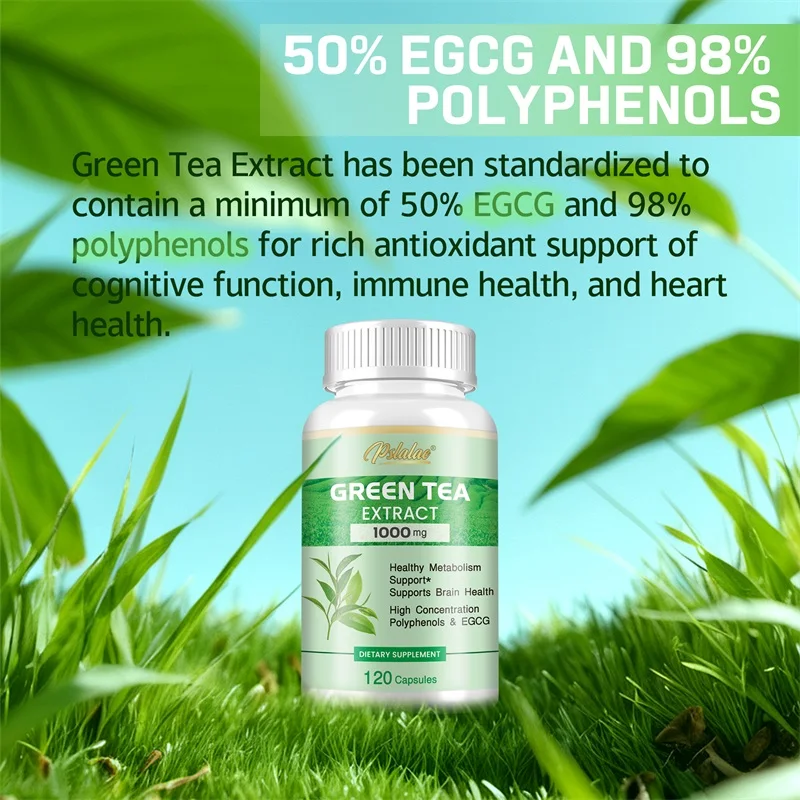 Green Tea Extract - with 98% Polyphenols, 50% EGCG - Natural Energy Support,Detox Metabolic Booster, Fat Burning