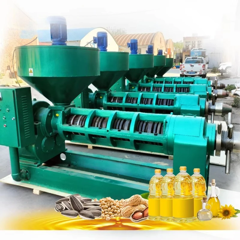 Small Scale Oil Press 20TPD Sunflower Copra Expeller Plant Machine High Output Commercial Custom