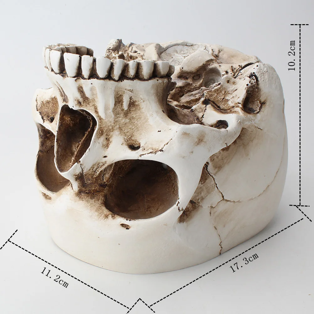 

Скелет настольный цветочный горшок для домашнего офиса смола человеческий череп контейнер украшение