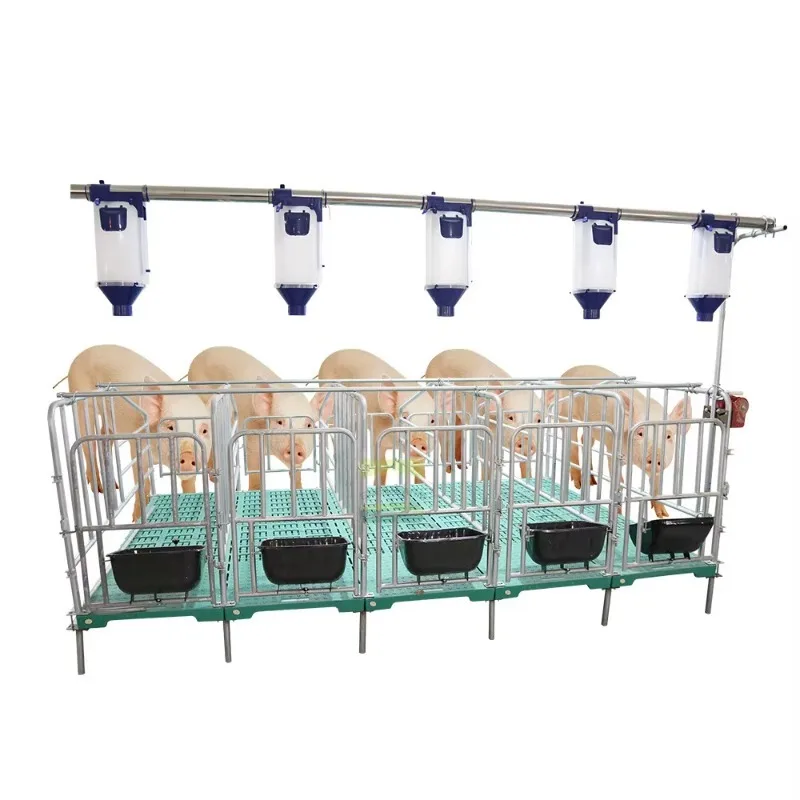 Galvanized Pig Pen Integrated Installation of specialized Equipment for Sow Positioning Pens and Breeding Farms for Animal