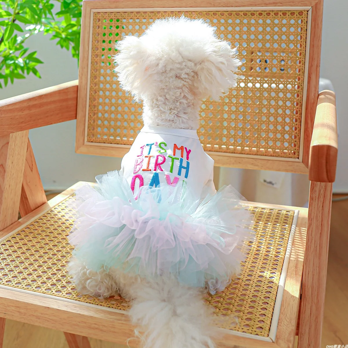 1PC Pet Clothing Cat Spring Autumn Summer Colorful Letter Ballet Mesh Princess Dress Suitable for Small and Medium sized Dogs