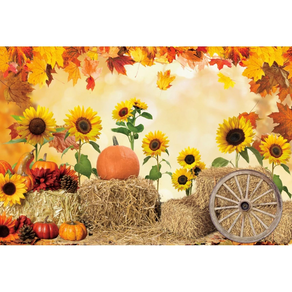 Ladang Pertanian Kayu Gudang Negara Haystack Gudang Koboi Bayi Baru Lahir Potret Ulang Tahun Fotografi Latar Belakang Foto Latar Belakang