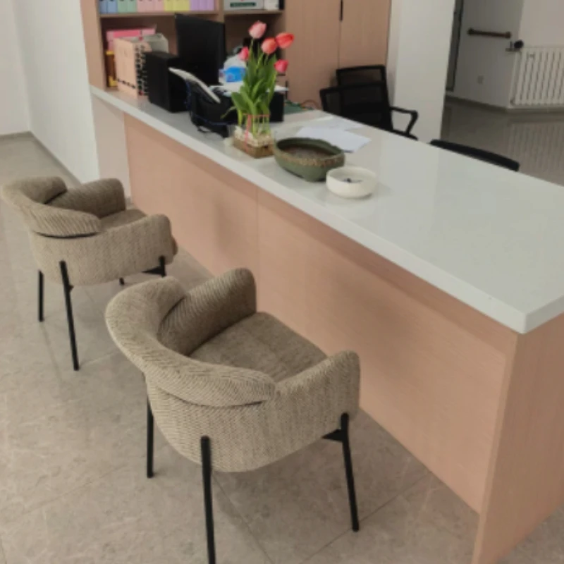 Minimalist Upholstered Dining Chair Modern Office Chair Soft Cushioned Makeup Vanity Stool Elegant Leisure Armchair for Home