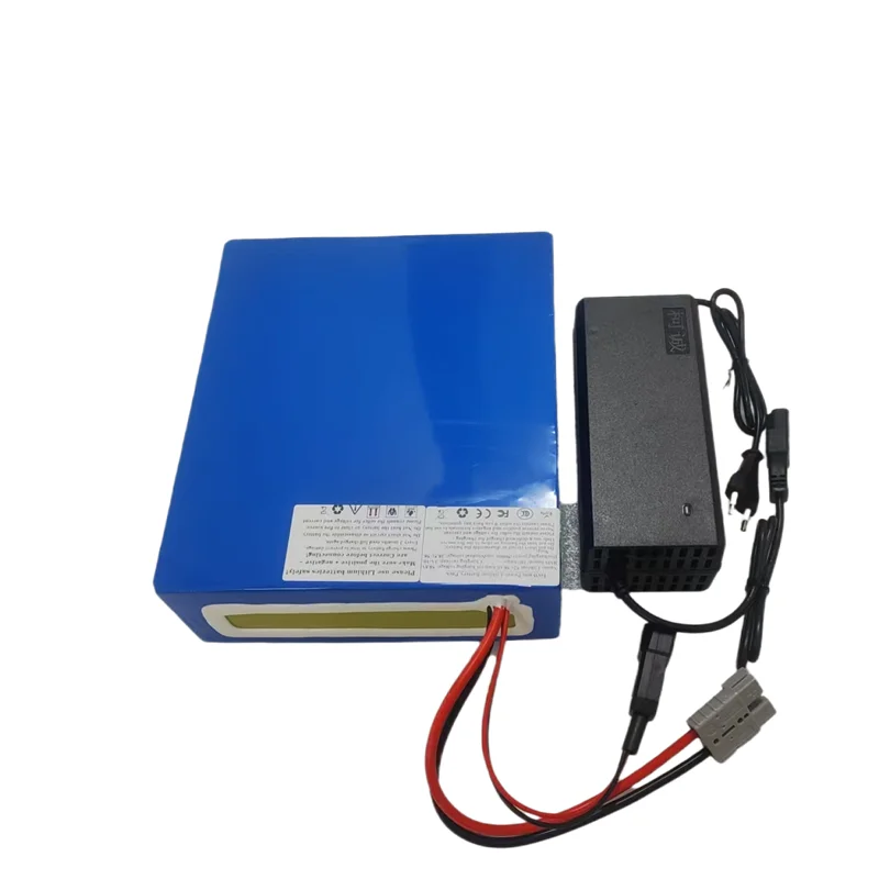 60V 40Ah 40A Lifepo4 Lithium battery pack Deep Cycle With BMS charger for 2000W 3000W bicicleta eléctrica Roller