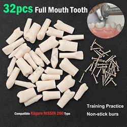 10Pcs Replacement Tooth Particles Compatible NISSIN 200 Type Teeth Model For Dental Preparation Training Teaching Resin Material