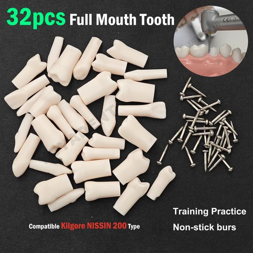 Imagen 1 del producto Partículas de dientes para piezas de repuesto, modelo de dientes Compatible con NISSIN 200, Material de resina para entrenamiento de preparación Dental