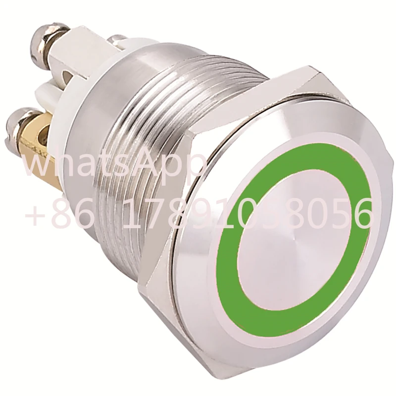 ELEWIND 19mm flat head ring illuminated push button stainless steel Momentary (1NO) (PM191F-10E/R/12V/S)