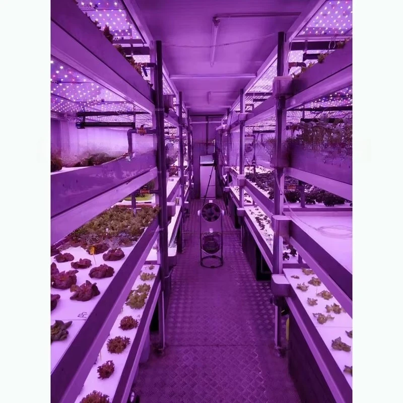 Fabbrica di piante idroponiche in contenitore da 40 piedi