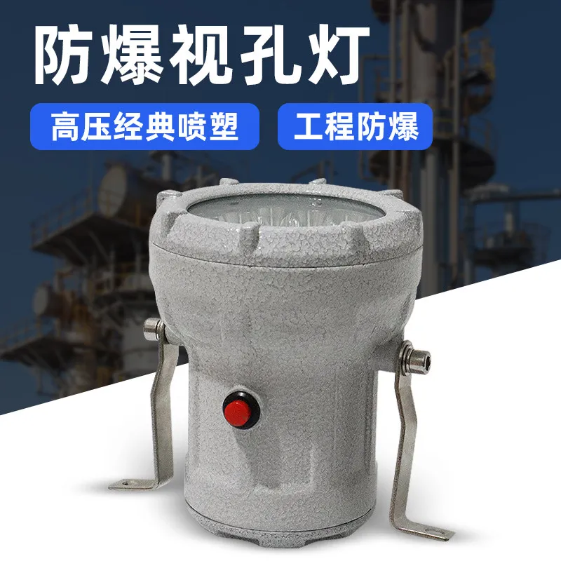 LED Explosion-proof Sight Hole Light Reactor Sight Mirror Light BSD Spotlight 12v24V36V Chemical Factory Workshop