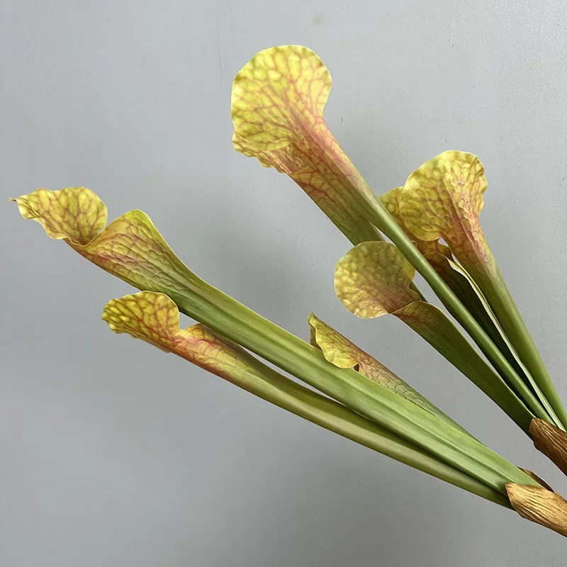 

4pcs/lot Simulation 3 Leaves Common Nepenthes Film Plant Restaurant Decoration Artificial Bottlegrass Green Plants Floral