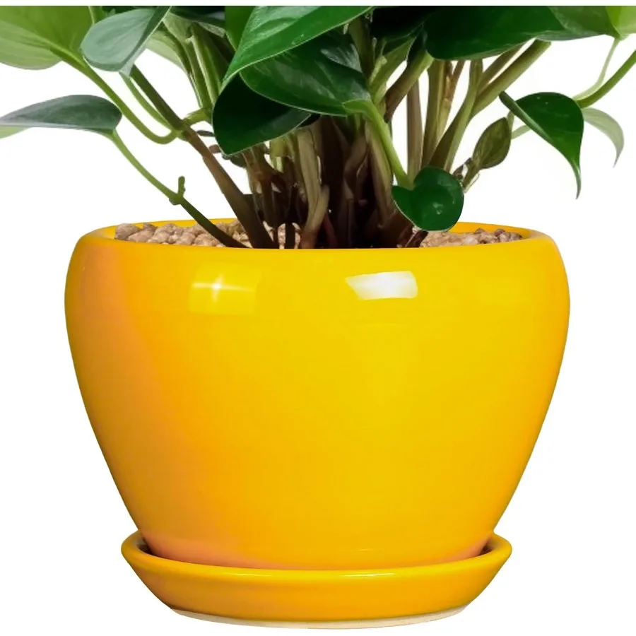 

6 Inch Ceramic Plant Pot with Glaze for Home Patio Room Office Decor Modern Round Planter with Drainage Hole and Saucer Yellow