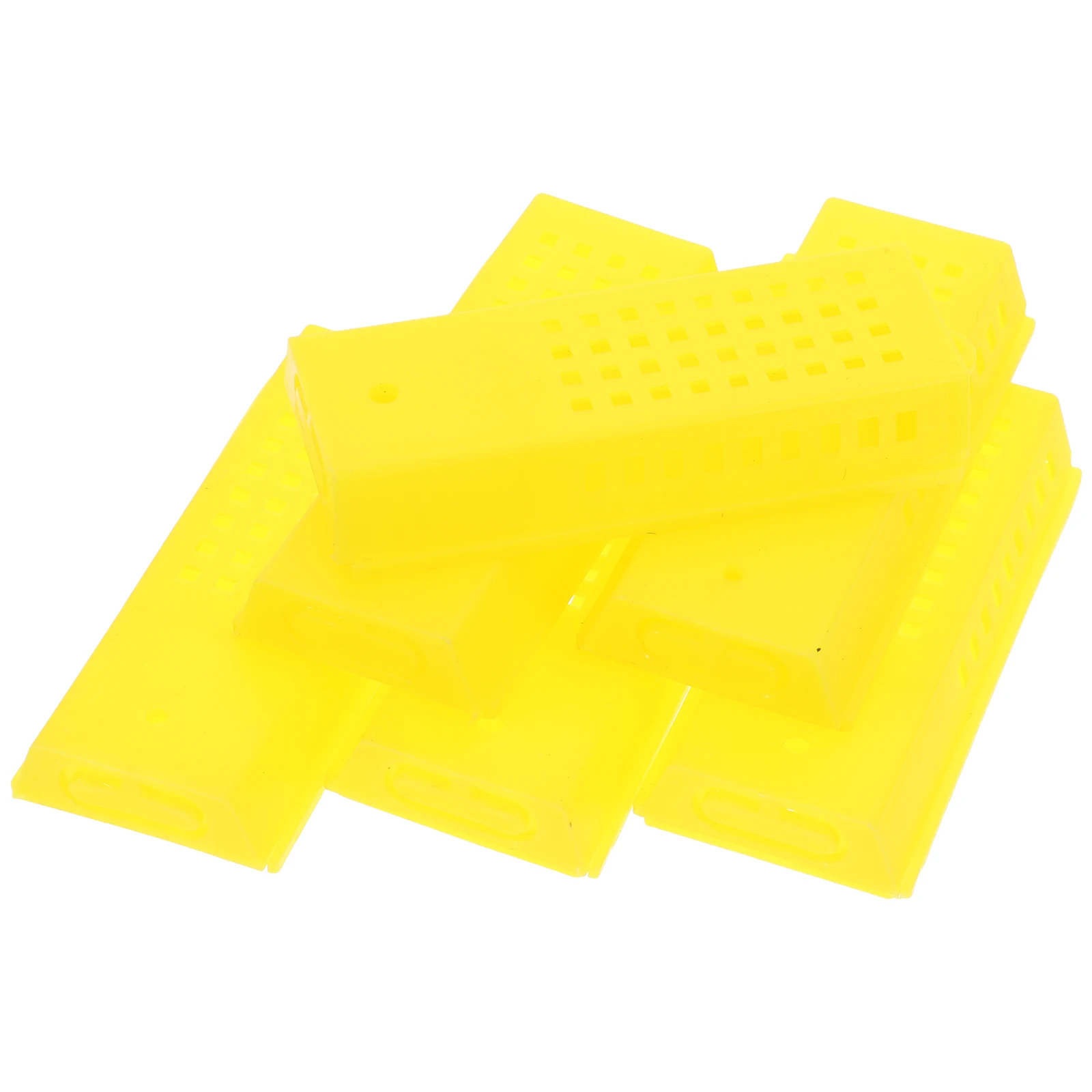 

10 Pcs Beehive Incubation Bases Cells Cups Rear Tools Rearing Cages Multifunction