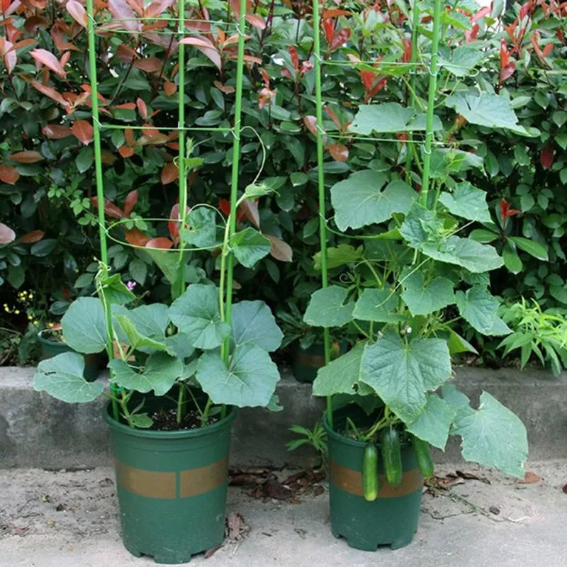 1/3/9 Pcs/set 3 Layers Plant Support Grow Stakes Round Plant Support Ring Plastic Plant Cage Holder Flower Pot Climbing Trellis - view 5