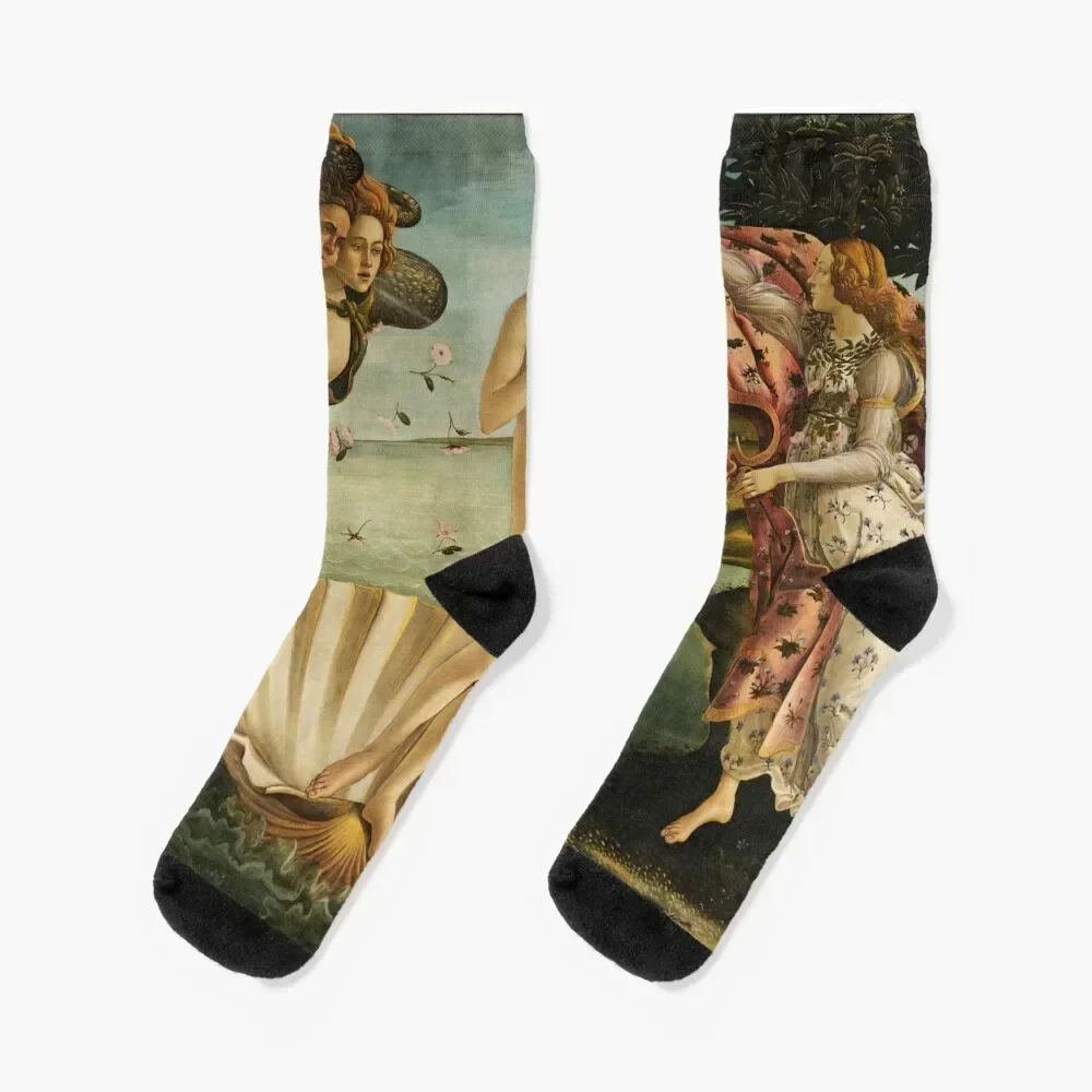 The Birth of Venus by Botticelli Socks cool funny gift Socks Women's Men's