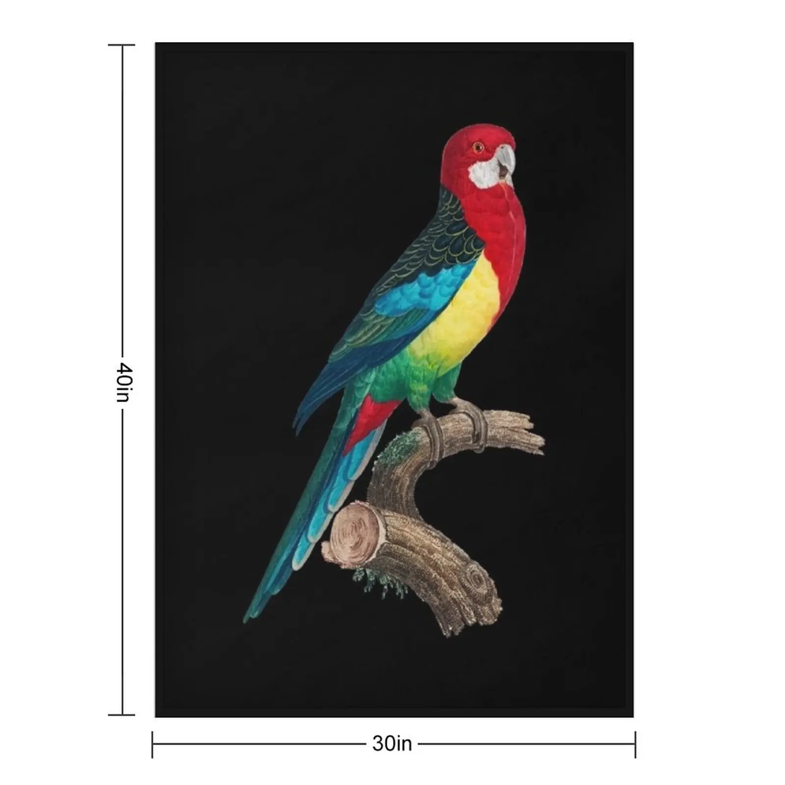 بطانية رمي الورسيلا الشرقية بطانيات ثقيلة للأرائك والأسرة الناعمة الحرارية لبطانيات السفر #2