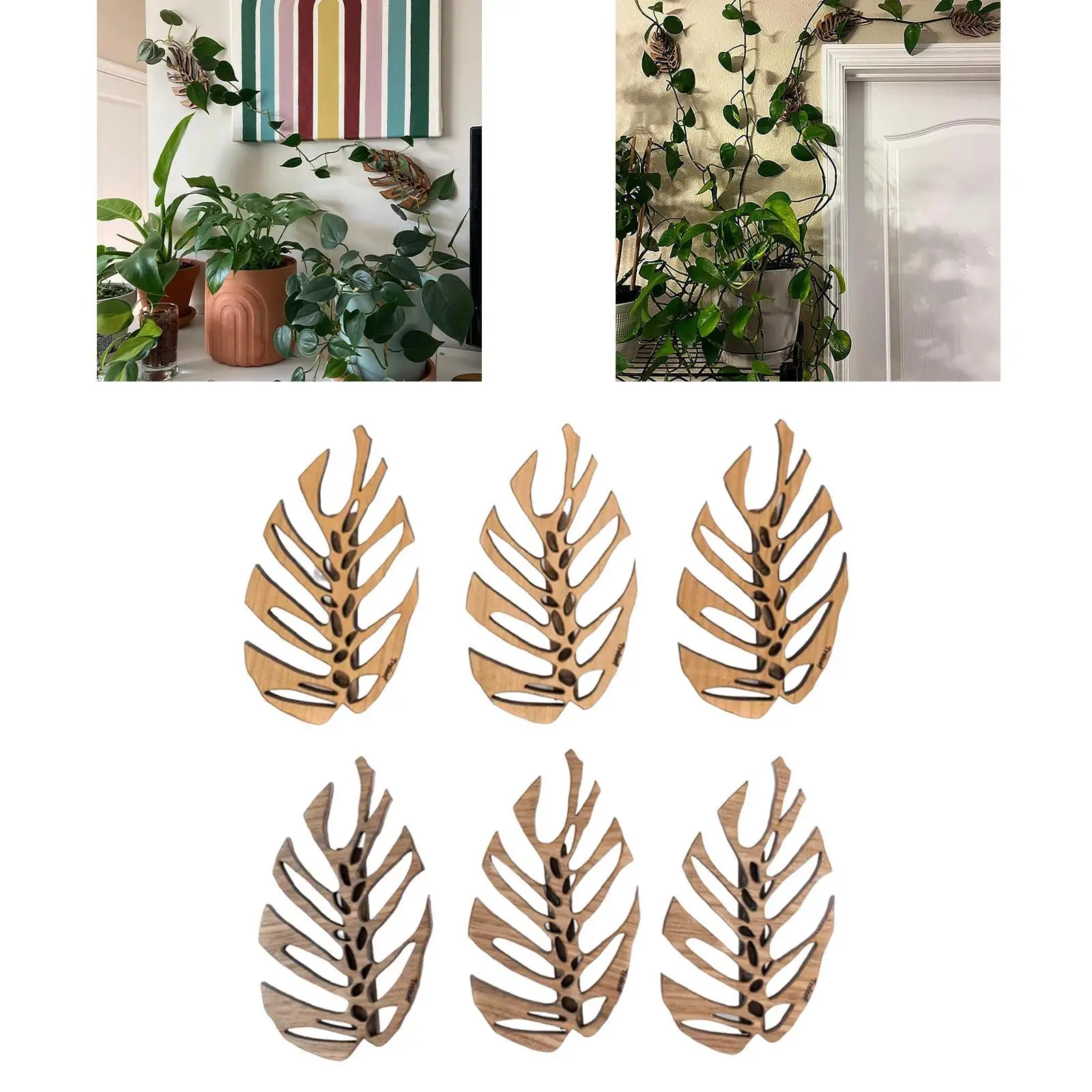 3Pcs Wall Plant Climbing Brackets Climbing Plants Attachment for Balconies