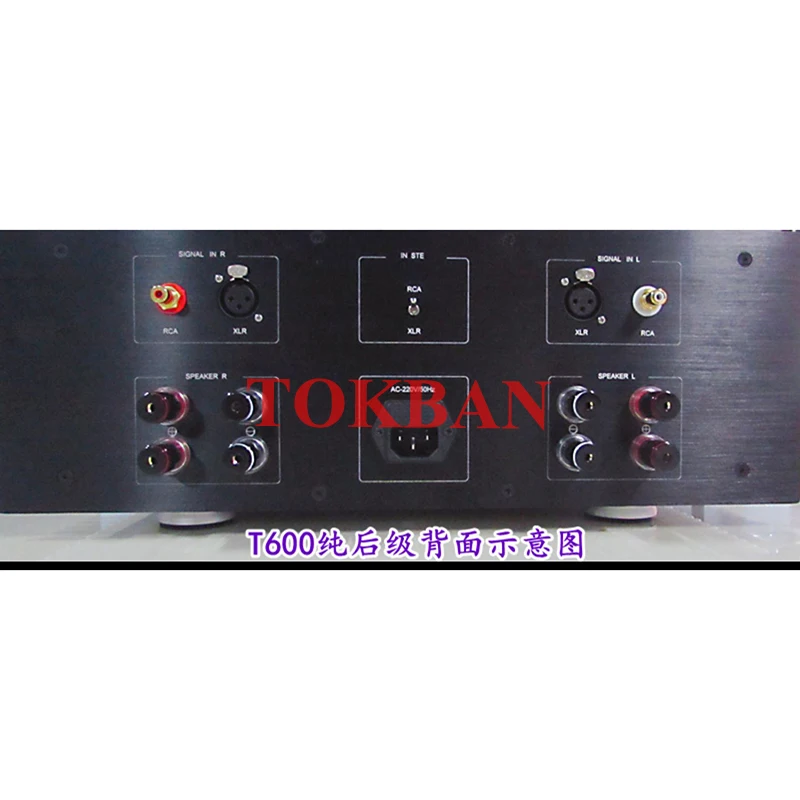 Tokban Reference Goldmund Telos 600 Power Amplifier 220w*2 High Power Class AB Amp Balanced XLR HIFI Amplifier Audio