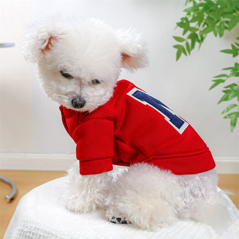 개성있는 글자 프린트 반려견 옷, 고양이 생일 선물, 치와와 의류, 단색, 새해, 중형 강아지, 애완 동물 복장