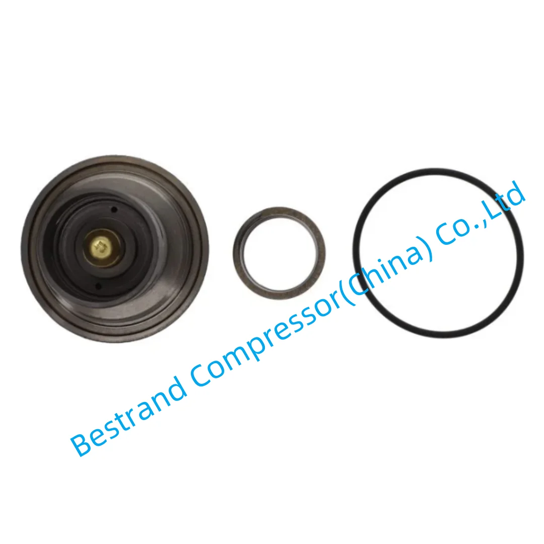 Atlas copco spare parts 2901146400 THERMOSTAT KIT 60 C FOR OIL injected screw air compressor