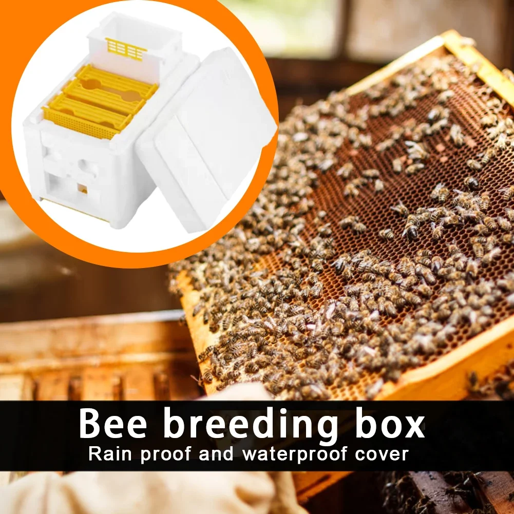 1Set Queen Bee Rearing Mating Beehive Beekeeping Tools Foam Beehives Nuc Harvest Pollination BeesHive Box Beekeeper