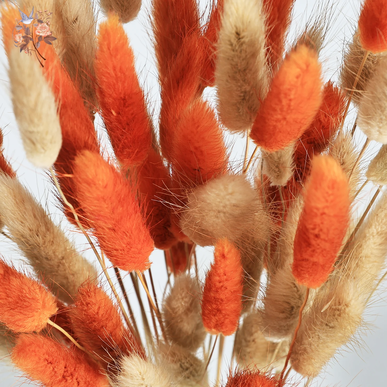 60 Stems Preserved Dried Bunny Tails Grass Flowers Bouquet Country Autumn Home Arrangement Mixed Colorful Rabbit Pampas Decor - Image 4