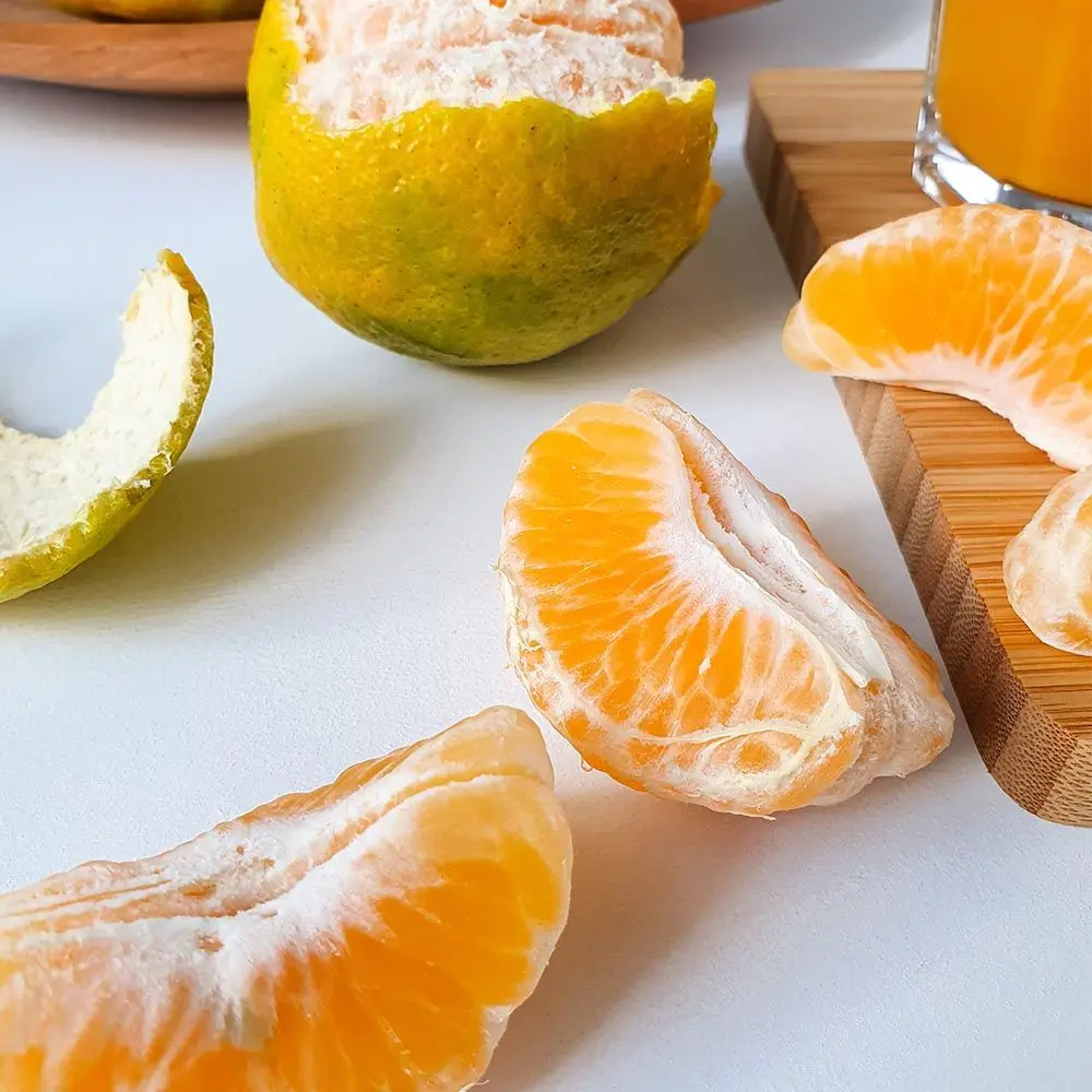 جيجو آيلاند اليوسفي المفتوح المولود الجديد، مقاس كبير، 9 كجم