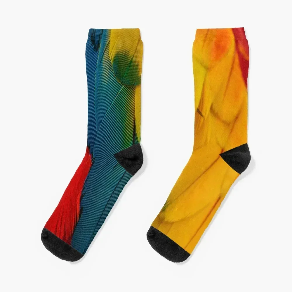 Macaw Feather Magic Socks christmas gift colored moving stockings Ladies Socks Men's