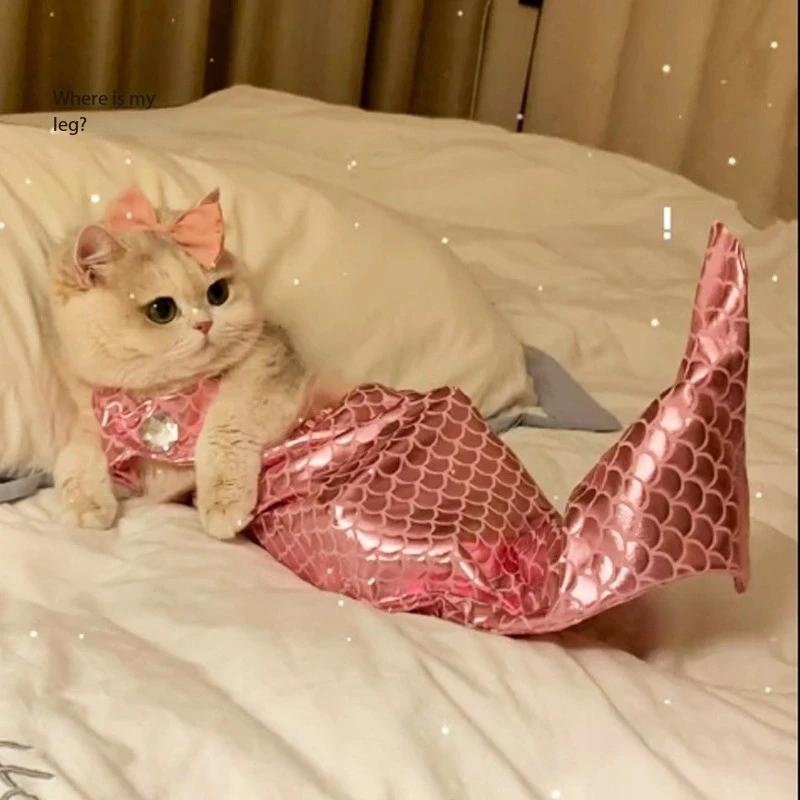 

Home Pet Cat Costumes TikTok same cat clothes mermaid funny outfit pet kitten rauddoll fish tail decoration funny photo costume