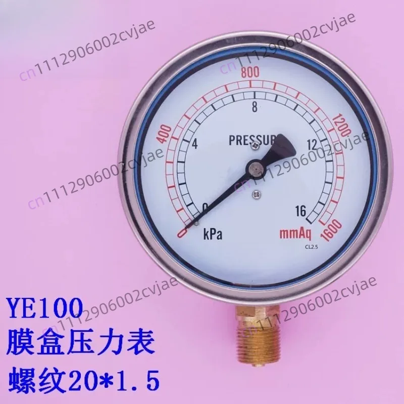 YE100 16KPA M20 * 1.5 Natural Gas Meter