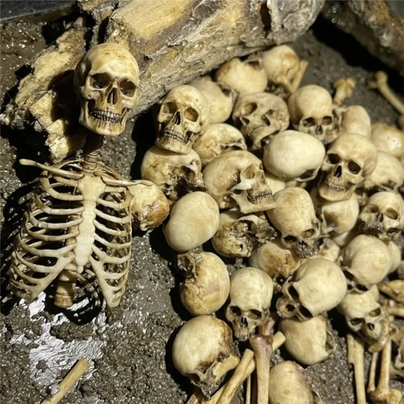 ODIES-Figuren Miniatuur Schaal 1:12 Hoge Kwaliteit Voor Halloween Home Decoraties Schedel Model Voor Poppenhuis Plant Aquarium