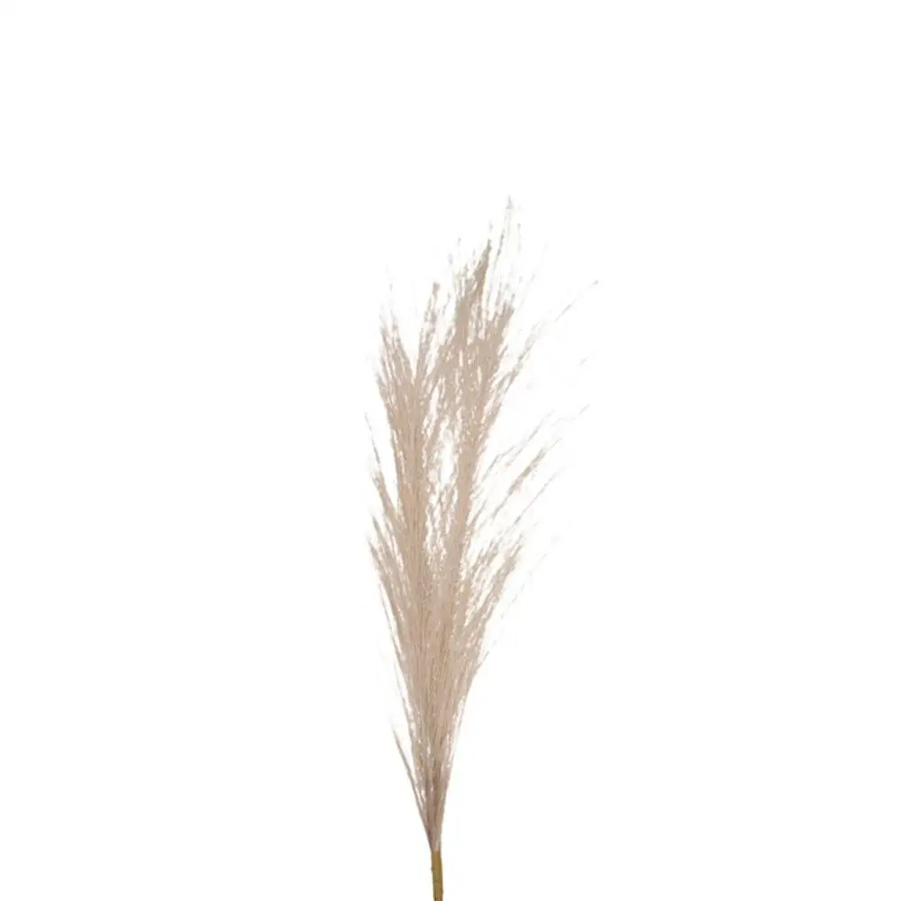 Fake Simulation Plante For Home Decoration Living Room Bedroom Pampas Grass Artificial Reed Fake Flowers Artificial Flower